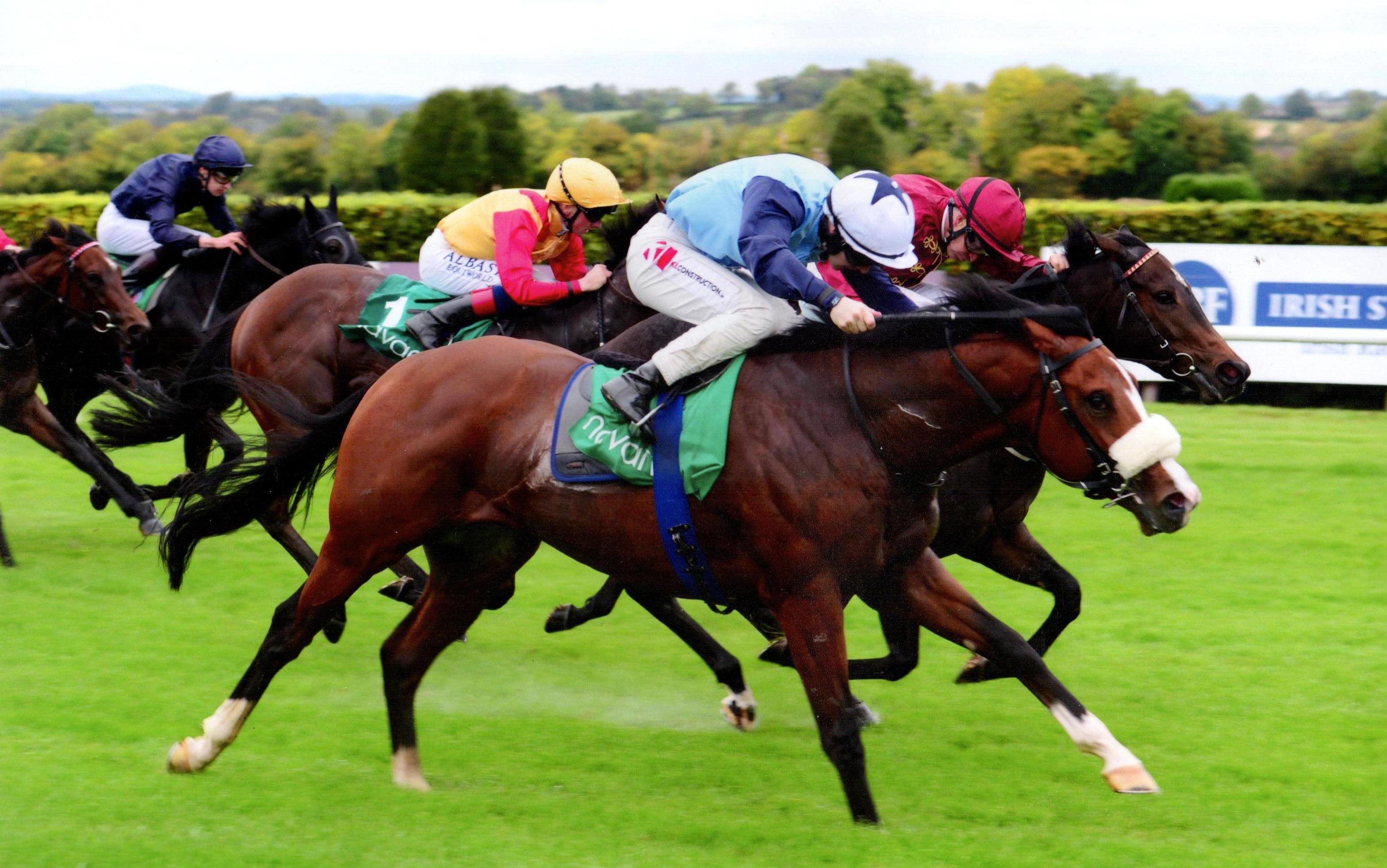 GOBI DESERT gains valuable black type at Navan 8th October 2017